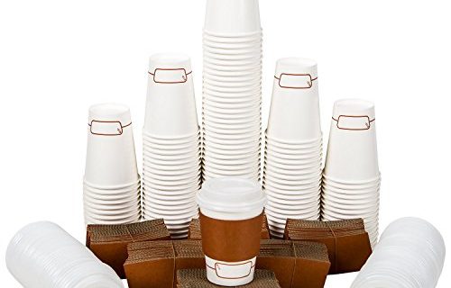 120 Paper Coffee 12 Oz Hot Cups, with Lid